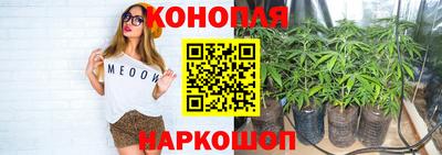 mdpv Балашиха