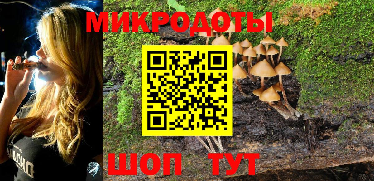 Псилоцибиновые грибы MAGIC MUSHROOMS Димитровград