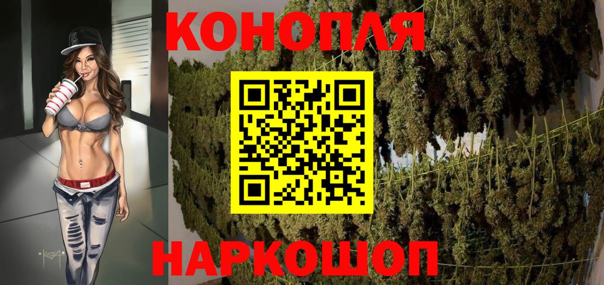 Бошки марихуана планчик  МАРИХУАНА семена  Вход с VPN  Димитровград  Каннабис OG Kush 